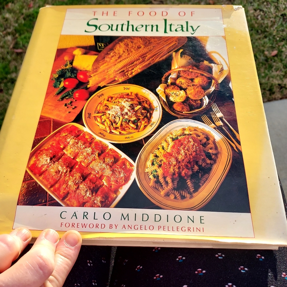 The food of Southern Italy Hardcover Italian Cookbook Culinary Foodie Dinner